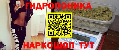 спайс Гай