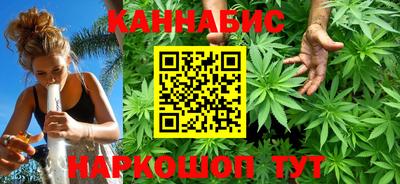 спайс Гай